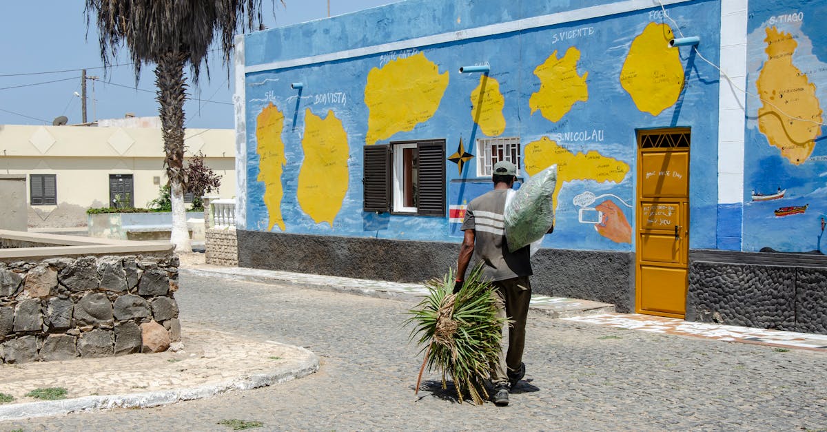 découvrez les paysages enchanteurs du cap-vert, un archipel situé au large des côtes africaines, réputé pour ses plages paradisiaques, sa culture riche et sa musique entraînante. explorez les îles volcaniques, savourez la cuisine locale et vivez une expérience inoubliable au cœur de l'atlantique.