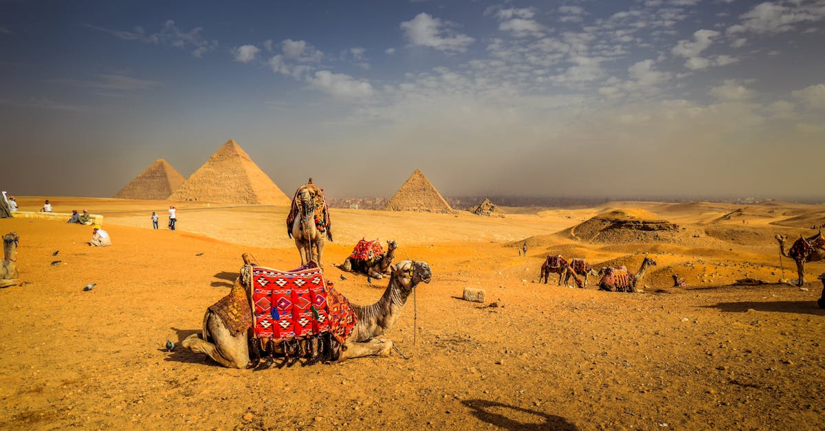 découvrez l'égypte, un pays fascinant au croisement des civilisations, riche d'une histoire millénaire, de pyramides emblématiques, de temples majestueux et de paysages époustouflants le long du nil. plongez dans sa culture vibrante, ses traditions uniques et ses merveilles archéologiques.