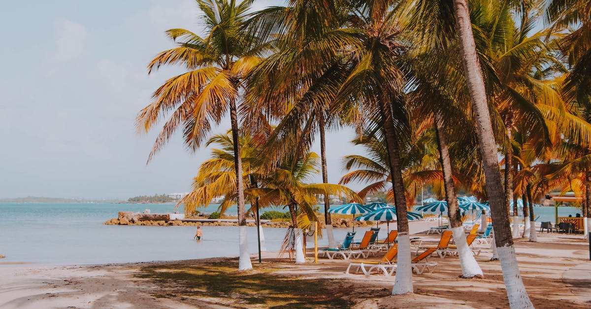 découvrez la beauté de la guadeloupe, un véritable paradis tropical aux plages de sable blanc, une culture riche et une nature préservée. explorez ses paysages volcaniques, ses eaux turquoise et sa cuisine délicieuse pour des vacances inoubliables.
