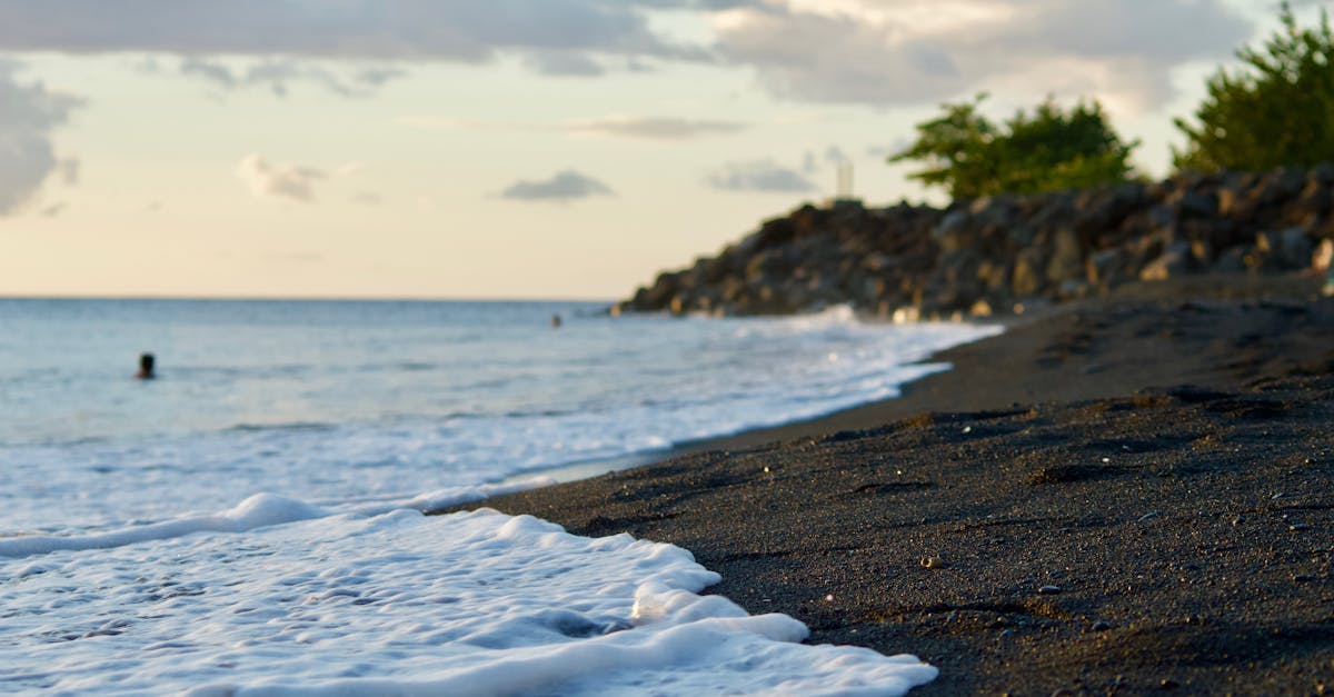 découvrez la guadeloupe, un véritable paradis caribéen où la nature luxuriante, les plages de sable blanc et la culture créole s'entremêlent pour offrir une expérience inoubliable. explorez ses paysages époustouflants, savourez une cuisine pleine de saveurs et plongez dans une ambiance chaleureuse et accueillante.