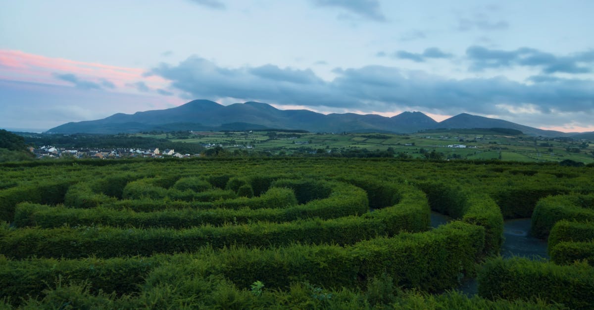 découvrez l'irlande, un pays riche en histoire, paysages à couper le souffle et culture vibrante. explorez ses châteaux, ses pubs animés et ses paysages enchanteurs, de la côte sauvage aux prairies verdoyantes. plongez dans la magie de l'île d'émeraude!