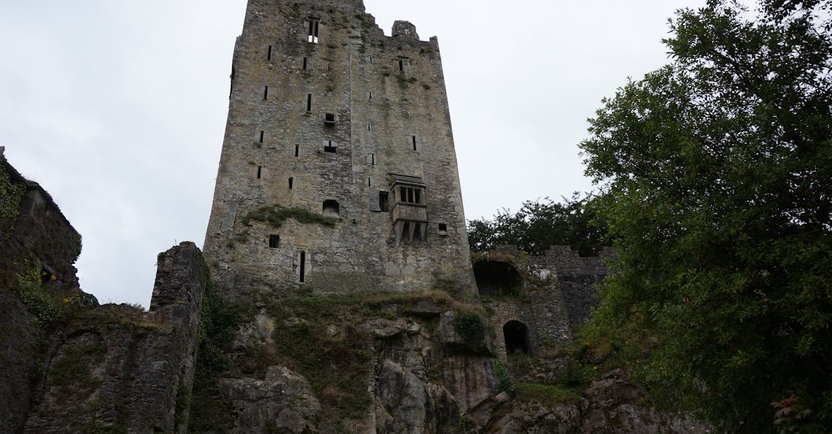 découvrez l'irlande, terre de légendes, de paysages enchanteurs et de chaleureuses traditions. explorez ses majestueux châteaux, ses paysages verdoyants et sa culture riche, tout en savourant une authentique cuisine locale et en vous imprégnant de l'hospitalité irlandaise.