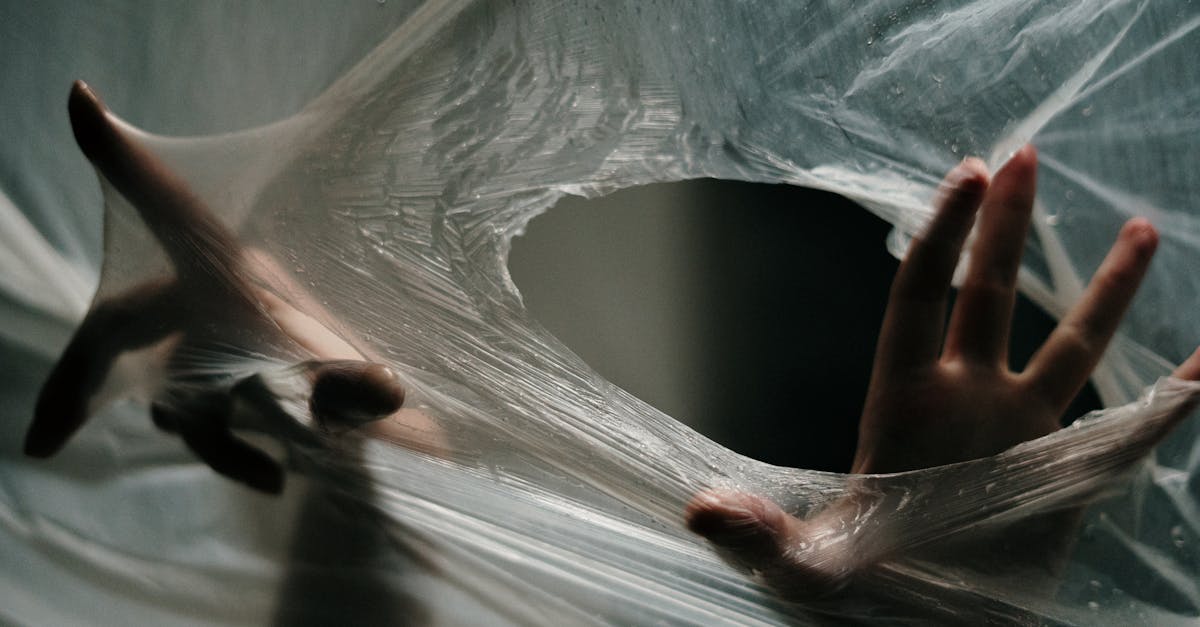 Entdecken Sie die tiefe Bedeutung der Befreiung, ihre Auswirkungen und ihre Auswirkungen auf unser tägliches Leben. Eine Reise ins Herz der persönlichen und kollektiven Freiheit.