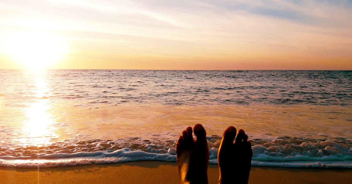 découvrez madagascar, la grande île aux paysages époustouflants, à la biodiversité unique et à la culture riche. explorez ses parcs nationaux, ses plages de rêve et son accueil chaleureux.