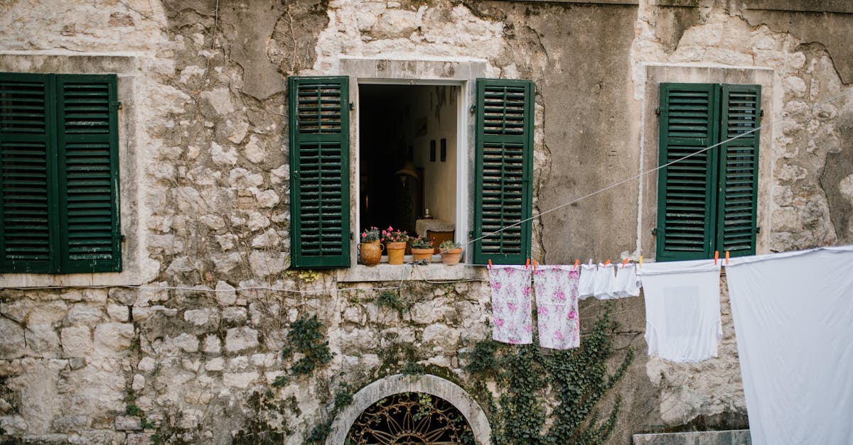 🏕️ Campeggio selvaggio o organizzato in aree protette