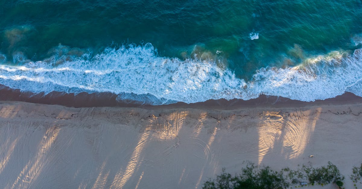 découvrez le mozambique, une destination envoûtante d'afrique de l'est, célèbre pour ses plages de sable blanc, sa biodiversité exceptionnelle et sa culture riche. explorez les parcs nationaux, goûtez aux délices culinaires et plongez dans l'histoire fascinante de ce pays aux paysages à couper le souffle.