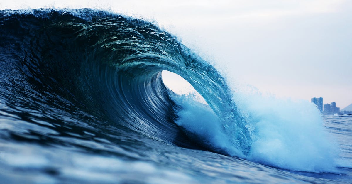 Governments, international institutions