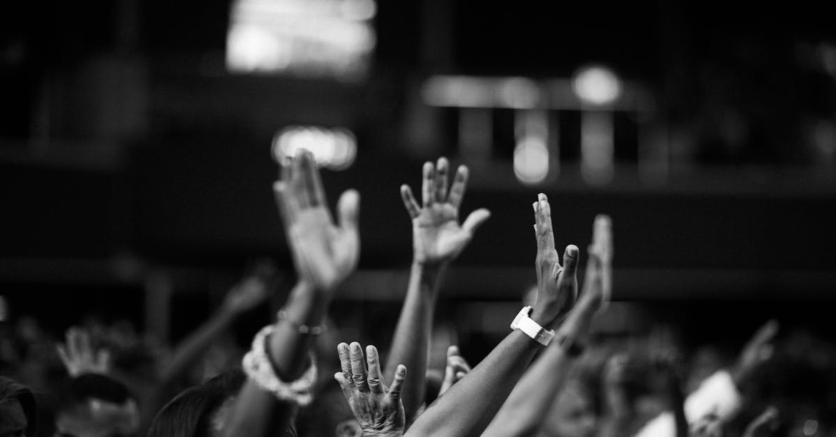 découvrez comment la solidarité peut transformer notre société. explorez des initiatives inspirantes et apprenez comment chacun de nous peut contribuer à un monde plus unifié et solidaire.