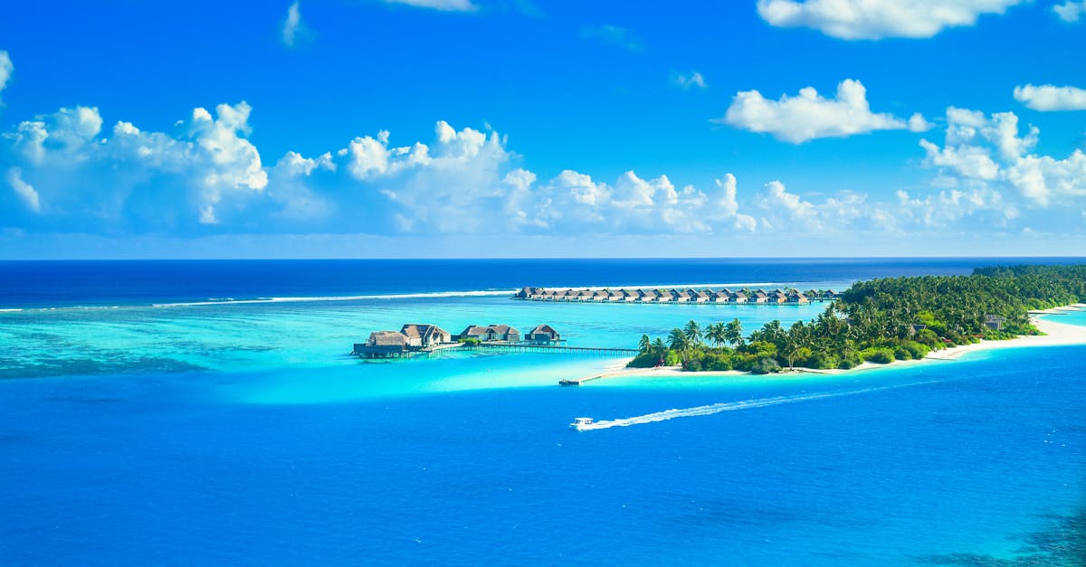 découvrez les merveilles du tourisme à travers le monde. explorez des destinations fascinantes, des cultures riches et des expériences inoubliables qui éveilleront vos sens et enrichiront vos voyages.