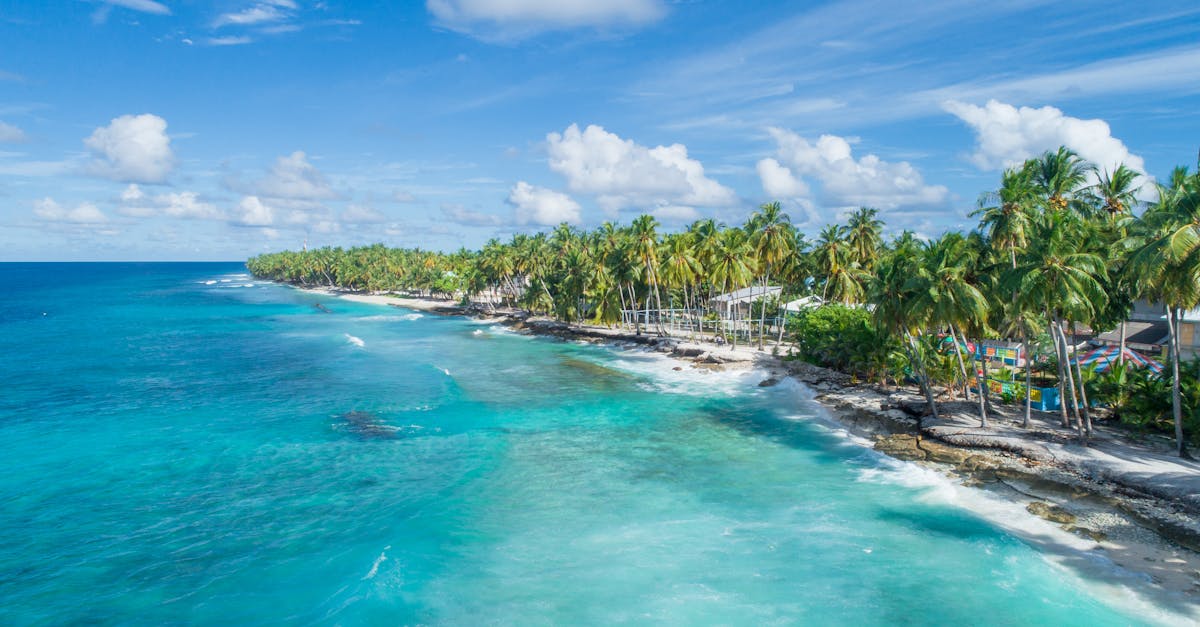 découvrez les merveilles du tourisme à travers le monde. explorez des destinations fascinantes, plongez dans des cultures enrichissantes et profitez d'expériences inoubliables qui éveilleront vos sens. que vous soyez en quête d'aventure, de détente ou de découverte, le tourisme vous ouvre les portes d'un univers passionnant.