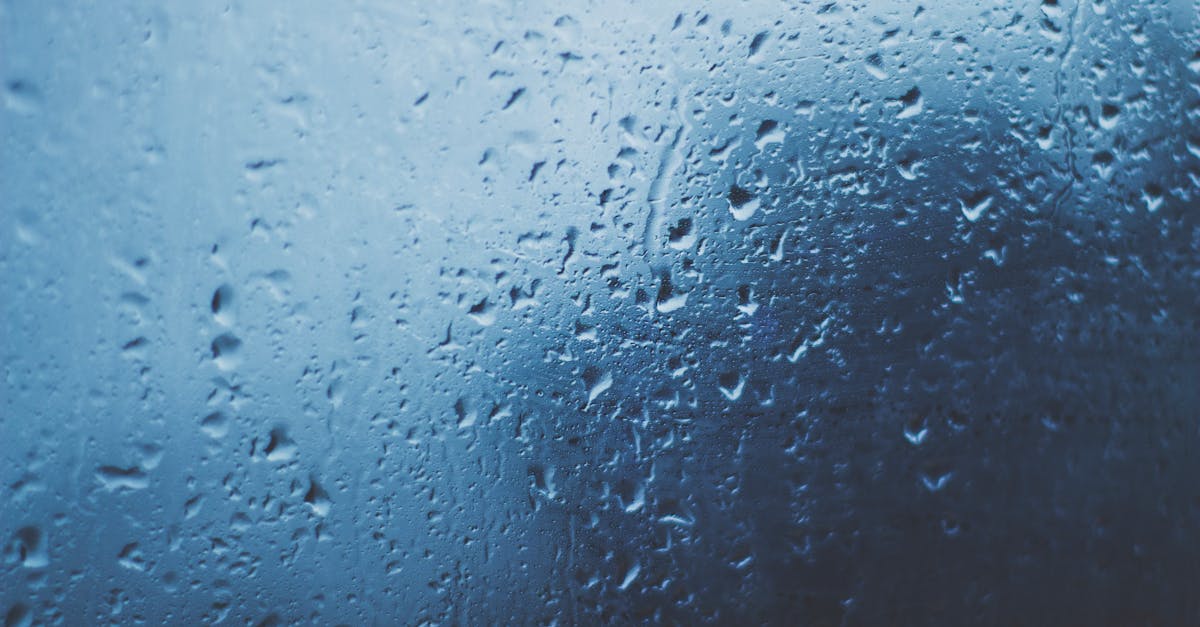 Monitoreo de la Adopción Legislativa