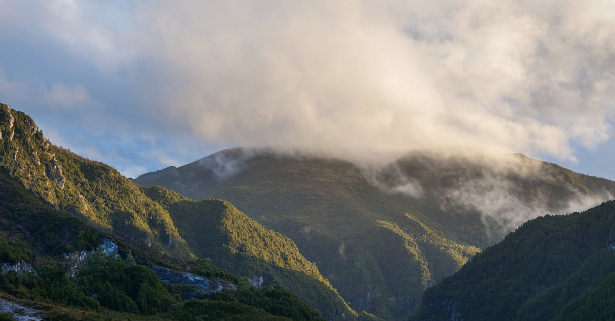 découvrez la vallée de belleville, un écrin de nature préservée où se mêlent paysages enchanteurs, traditions locales et activités de plein air. partez à l'aventure dans ce cadre idyllique alliant charme et authenticité.