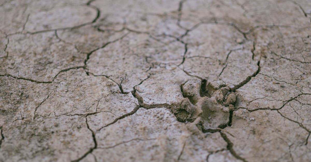 L'impatto del terremoto del 2025: valutazione dei danni e possibili risposte