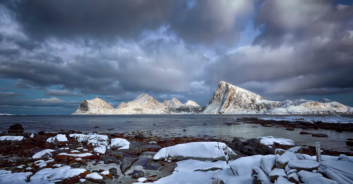 découvrez des expériences uniques et mémorables qui éveillent vos sens et élargissent vos horizons. que ce soit des aventures en plein air, des découvertes culturelles ou des moments de détente, explorez un monde d'opportunités pour enrichir votre quotidien.