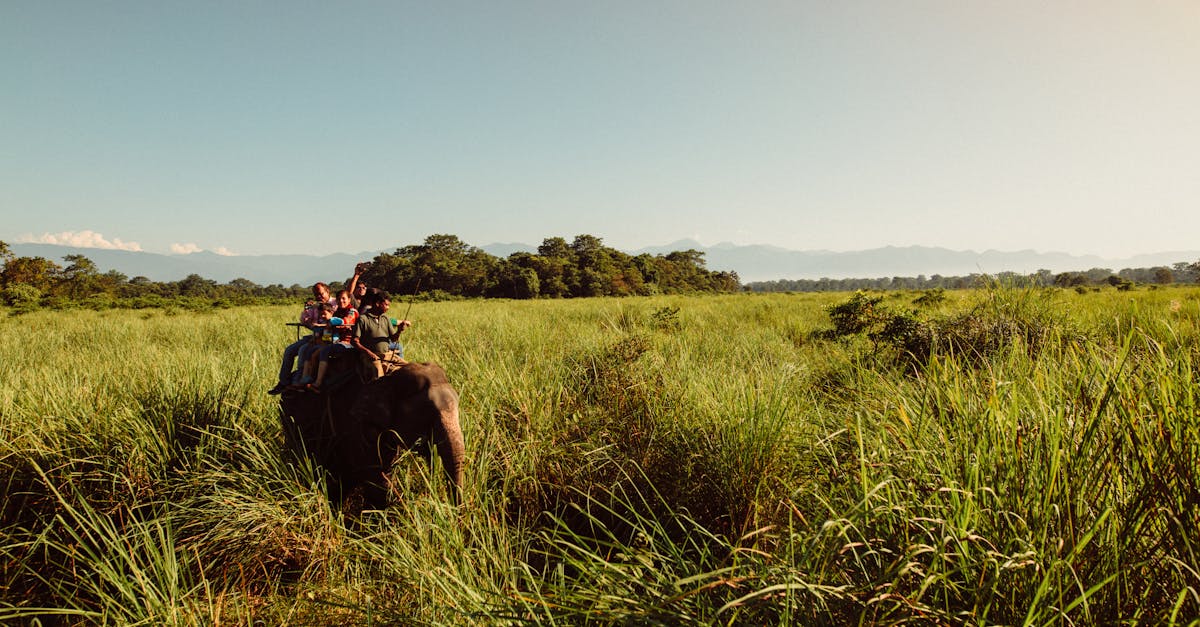 découvrez des moments inoubliables en famille avec nos aventures palpitantes ! partez à la conquête de nouveaux horizons, explorez des paysages spectaculaires et créez des souvenirs précieux ensemble. éveillez l'esprit d'aventure de vos proches et profitez d'activités pour tous les âges.