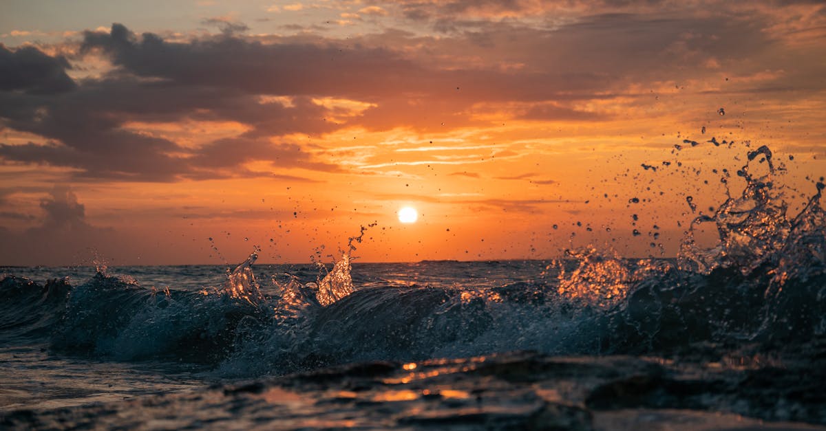Alloggi a Holbox: come combinare comfort e autenticità su quest'isola paradisiaca?