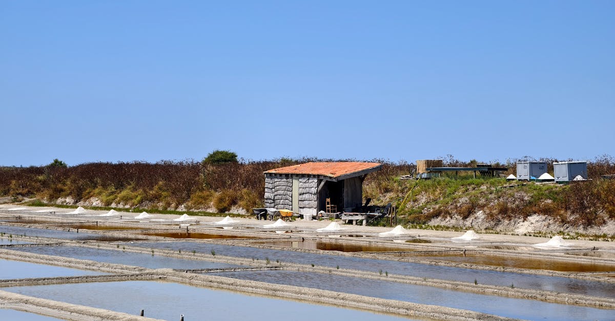 Exploring the Île de Ré by bike: tips and routes