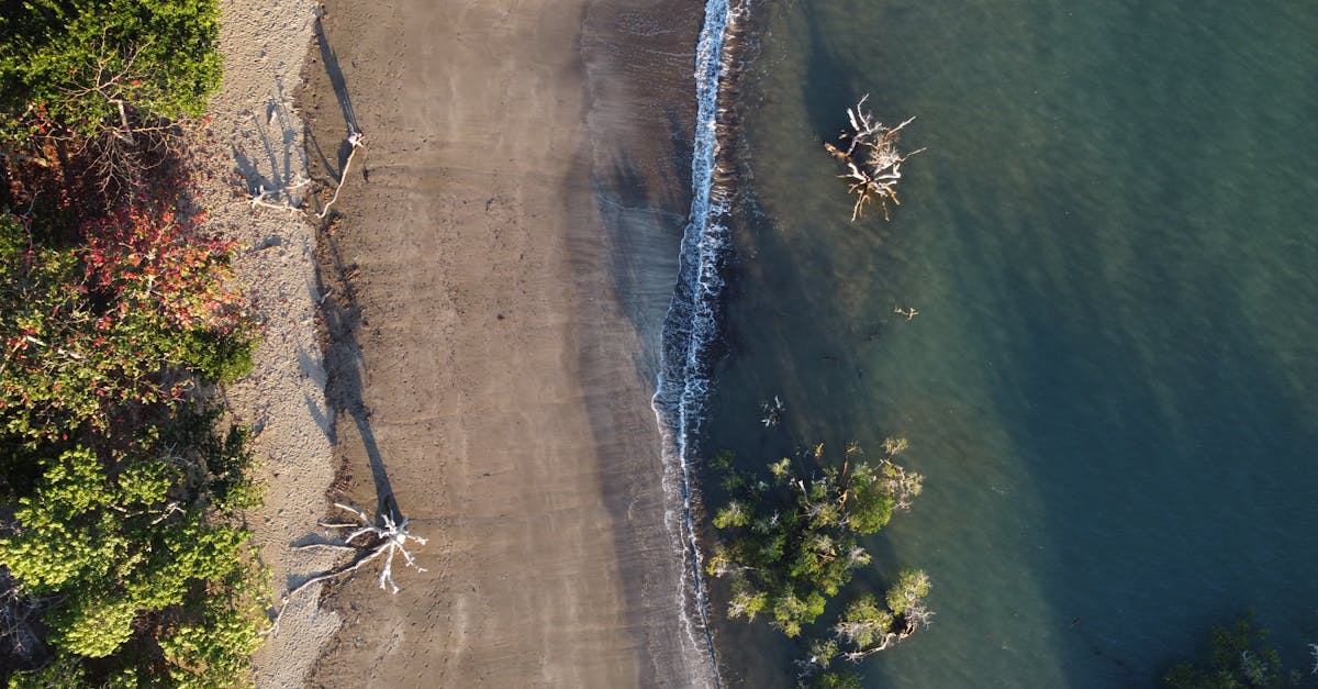 No se puede descartar el riesgo de un conflicto abierto si la situación persiste. La presencia militar, la pesca excesiva o la degradación ecológica podrían precipitar acciones unilaterales por parte de cualquiera de las dos naciones, complicando aún más la resolución de la disputa. La comunidad internacional, en particular la Unión Africana y la ONU, insiste en que Francia y Madagascar prioricen un marco para un diálogo constructivo. La búsqueda de soluciones equitativas, que respeten la soberanía malgache y garanticen la estabilidad estratégica, debe ser una prioridad para evitar una espiral peligrosa que podría debilitar la región y comprometer la seguridad mundial en esta zona tan sensible del océano Índico.