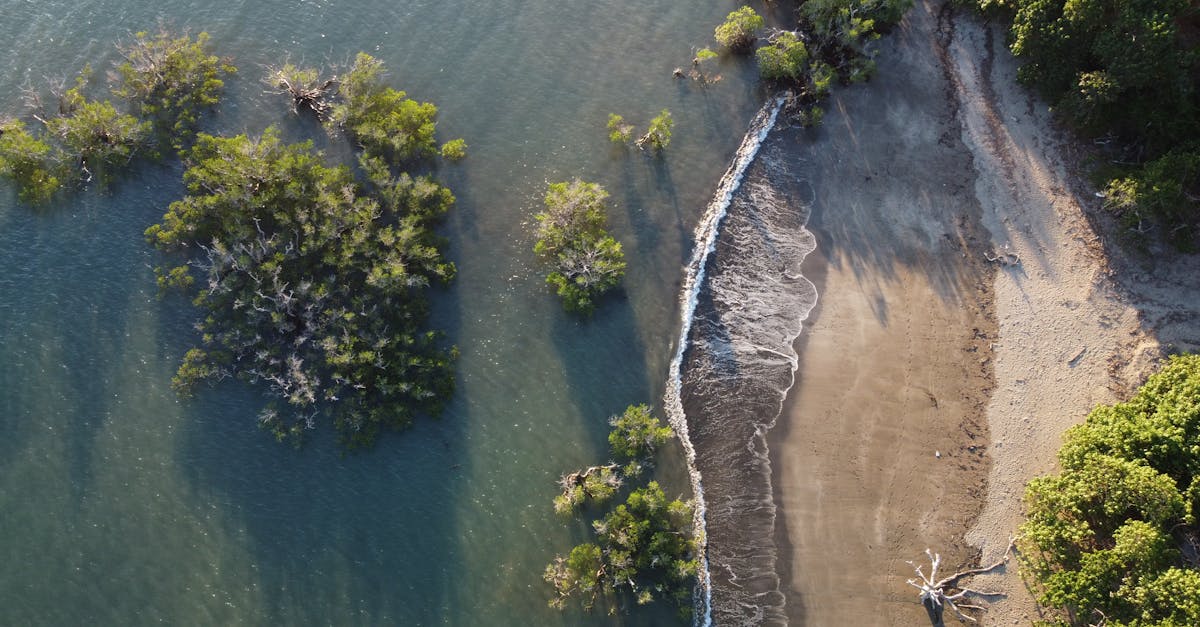 Francia reafirma su control sobre las Islas Dispersas frente a Madagascar