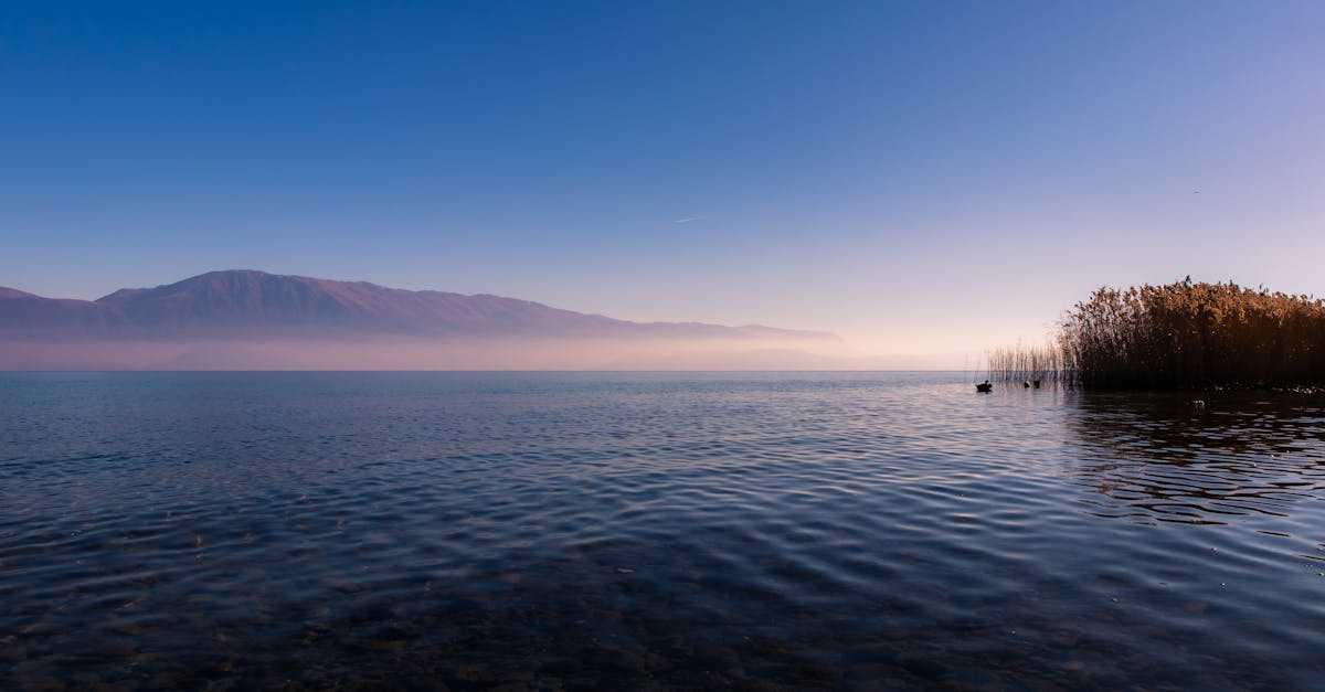 Mljet: A Croatian Island That Makes Hearts Flap