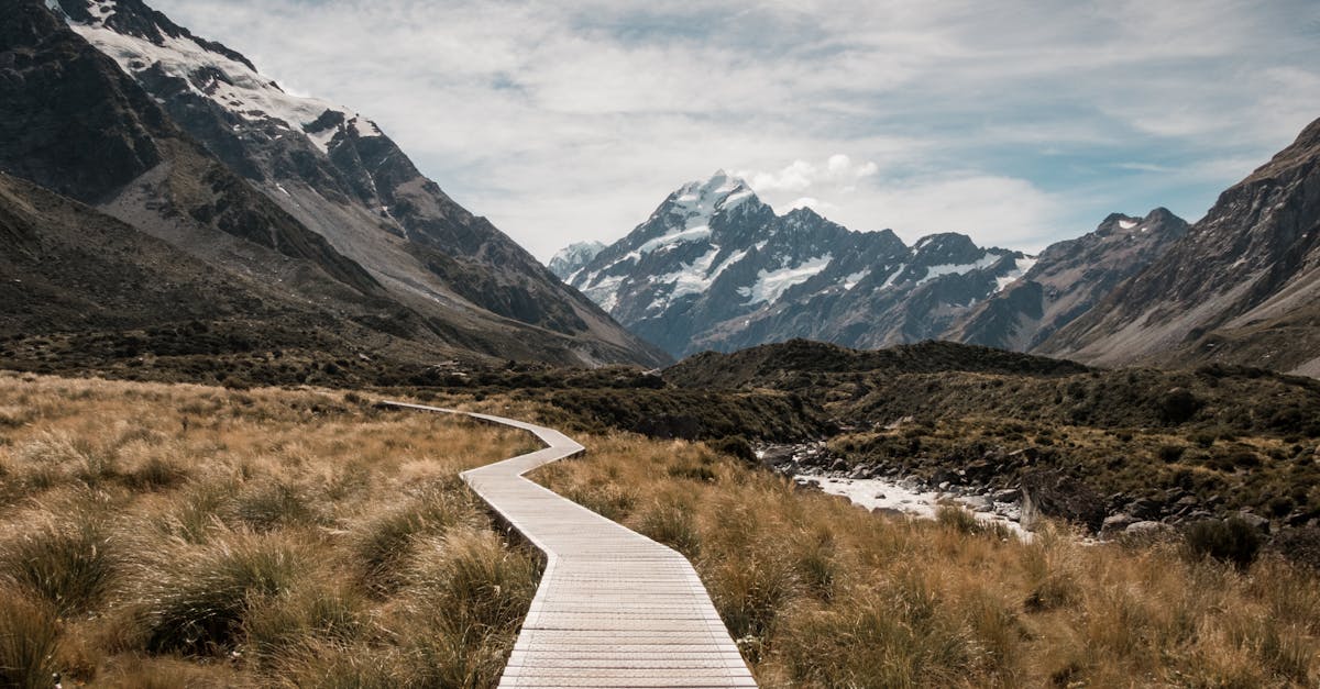 découvrez la beauté éblouissante des montagnes, des sommets majestueux aux paysages à couper le souffle. plongez dans des aventures en plein air, des randonnées revigorantes et des panoramas fascinants qui vous inspireront à explorer et à vous reconnecter avec la nature.