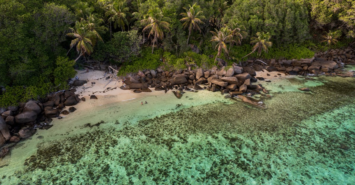 explorez les seychelles, un paradis insulaire de l'océan indien, célèbre pour ses plages de sable blanc, ses eaux turquoise cristallines et sa nature luxuriante. découvrez des activités variées, des réserves naturelles uniques et une culture riche, idéale pour des vacances inoubliables.