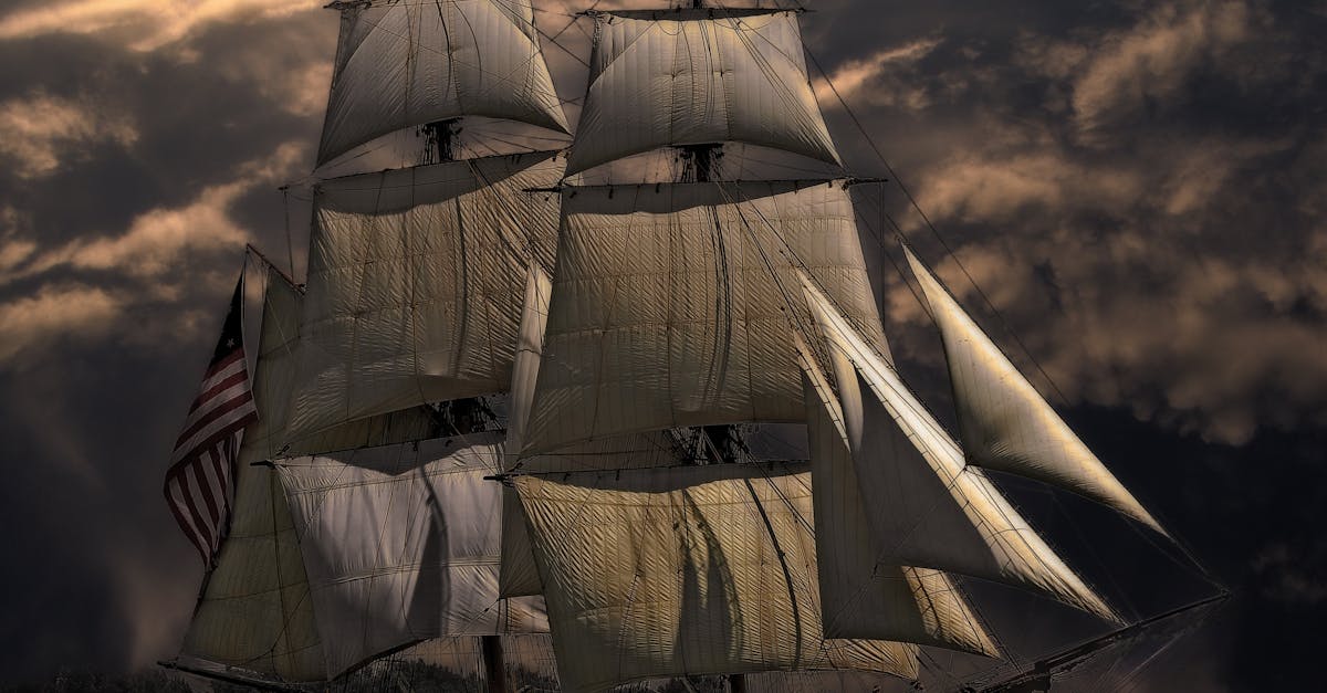 Scopri tutto sulle navi: tipologie, origini e innovazioni marittime. Immergiti nell'affascinante mondo del trasporto marittimo e della cantieristica navale.