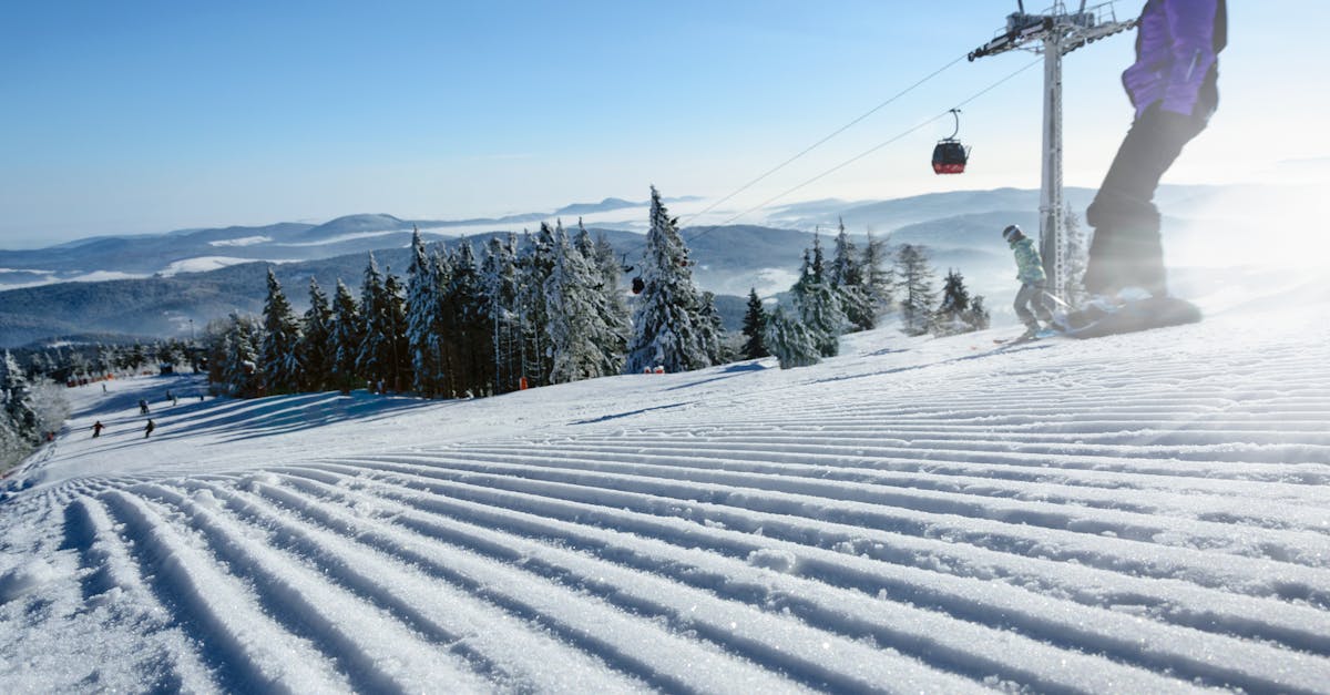découvrez l'univers du ski avec nos conseils, techniques et destinations pour tous les niveaux. que vous soyez débutant ou expert, notre guide vous accompagnera pour vivre des expériences inoubliables sur les pistes enneigées.
