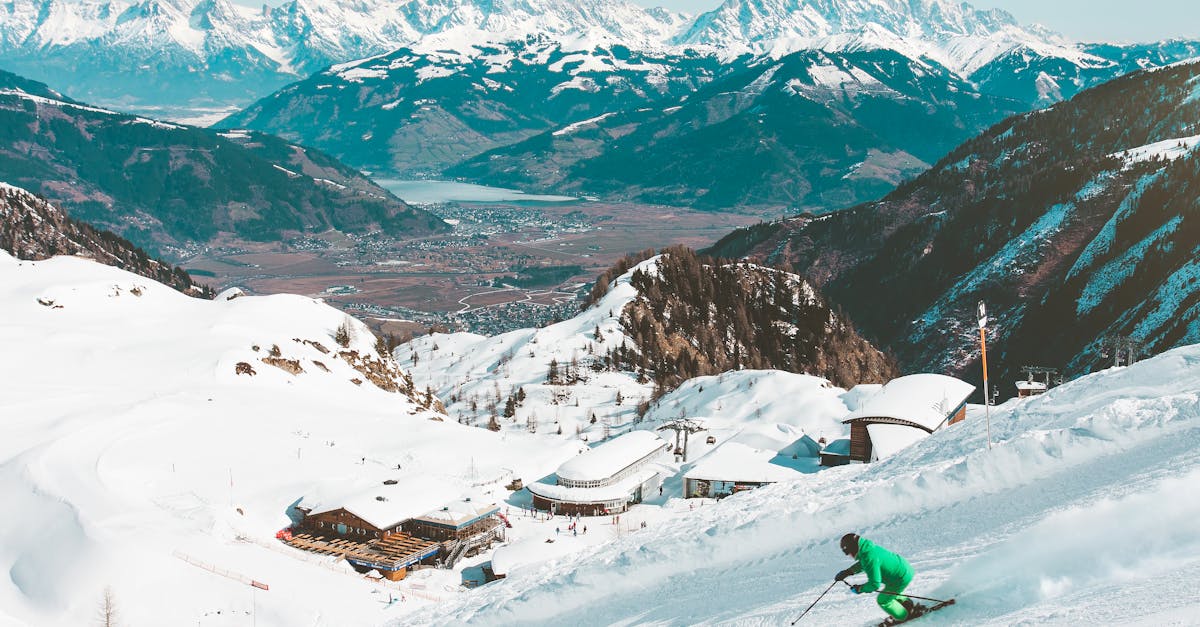 🎿