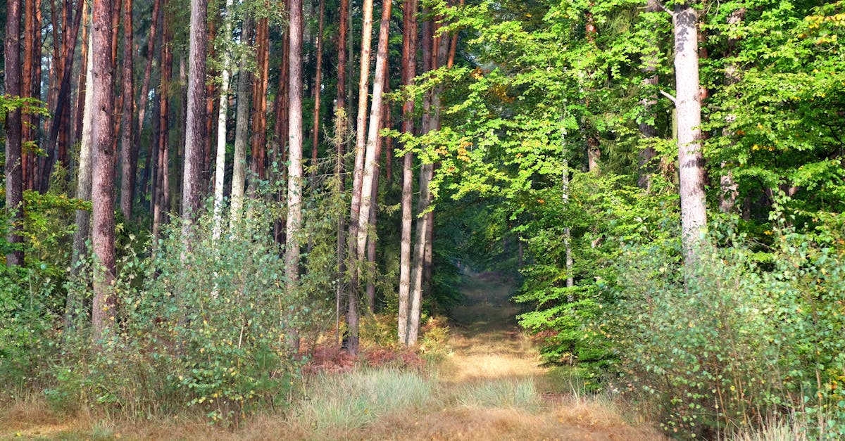 Scopri cause, sintomi e trattamenti dell'intossicazione alimentare. Proteggi la tua salute imparando a riconoscere i segnali di contaminazione alimentare e come evitare i rischi associati.