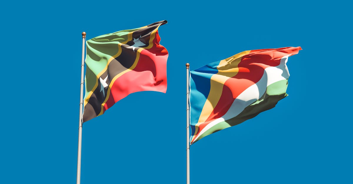 As perspectivas futuras de Madagascar dependem em grande parte da capacidade dos atores políticos de integrar a voz da juventude no processo de reconstrução. Atender às demandas legítimas da Geração Z, particularmente em relação a emprego, educação, transparência e participação cívica, poderia fomentar uma resolução mais pacífica para a crise. No entanto, se essas demandas permanecerem sem resposta, existe um risco real de escalada, que pode levar à instabilidade prolongada ou à radicalização de certos grupos. A comunidade internacional, incluindo a União Africana e a União Europeia, está monitorando de perto a situação, oferecendo perspectivas críticas e apoio potencial para uma transição pacífica. Para que Madagascar supere essa crise, será essencial unir todas as forças vitais do país em torno de um projeto comum, incluindo jovens, atores econômicos e a sociedade civil. Estabelecer um diálogo inclusivo e transparente poderia, portanto, ajudar a restaurar a estabilidade e construir um futuro sustentável, evitando a repetição de erros do passado.