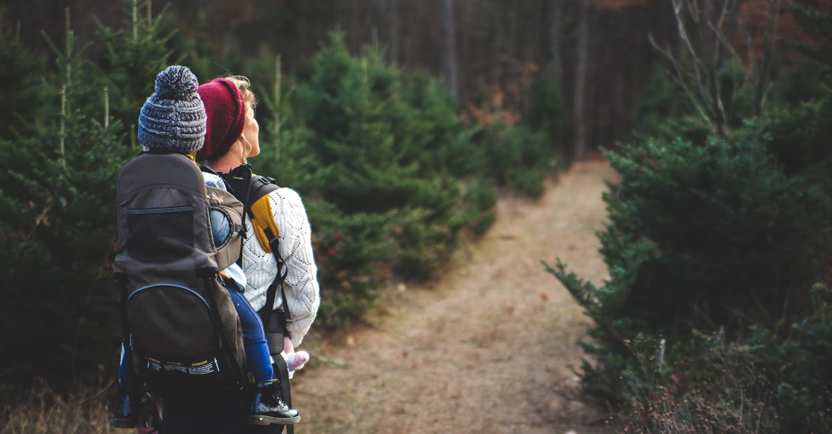 découvrez nos conseils et itinéraires pour la randonnée, profitez de la nature et explorez des paysages magnifiques à pied.