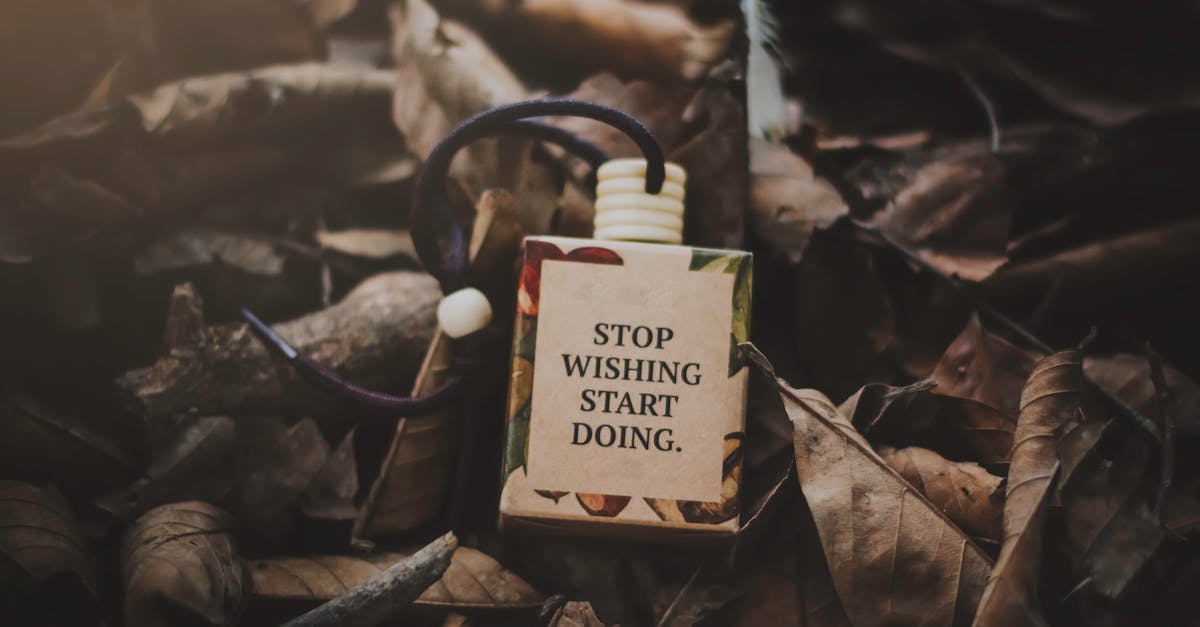 découvrez l'importance du mindset et comment adopter une mentalité positive pour réussir dans tous les aspects de votre vie.