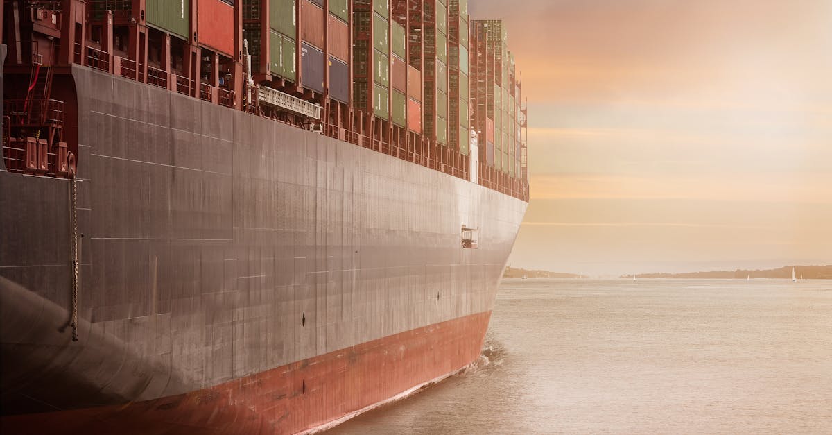 Um estudo recente indica que o mercado global de caranguejo deverá atingir US$ 16,17 bilhões até 2030, com uma taxa de crescimento anual de 4,40%. Ao se abrir para mais participantes e adotar mecanismos regulatórios inovadores, a indústria de caranguejo de Madagascar visa não apenas capturar uma parcela significativa desse crescimento, mas também garantir uma exploração sustentável que respeite os ecossistemas, assegurando, ao mesmo tempo, uma renda justa para os agentes locais. A implementação dessa reforma representa, portanto, um ponto de virada estratégico, que provavelmente redefinirá permanentemente o lugar de Madagascar na cadeia de valor do comércio global de caranguejo.