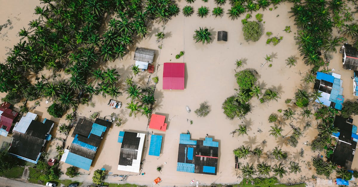 Descubra las causas, los impactos y las medidas de prevención de inundaciones para proteger mejor su hogar y su comunidad.