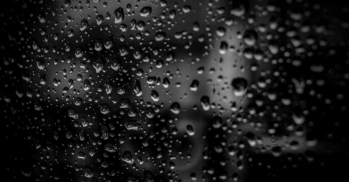 découvrez des informations essentielles sur la schizophrénie, ses symptômes, ses causes et les options de traitement disponibles pour mieux comprendre cette maladie mentale complexe.